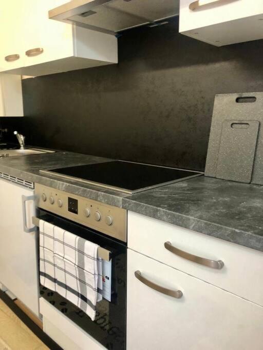 Milena Apartment Graz Dış mekan fotoğraf